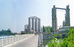 綜合項(xiàng)目